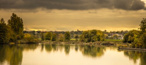 The Architecture of Reconnection: Walthamstow Wetlands
