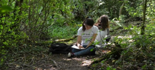 Innovating by design with UK Science Festivals Network