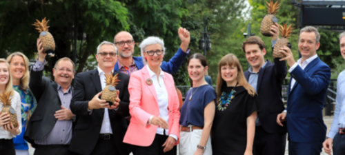Winners of The Pineapples awards for place announced
